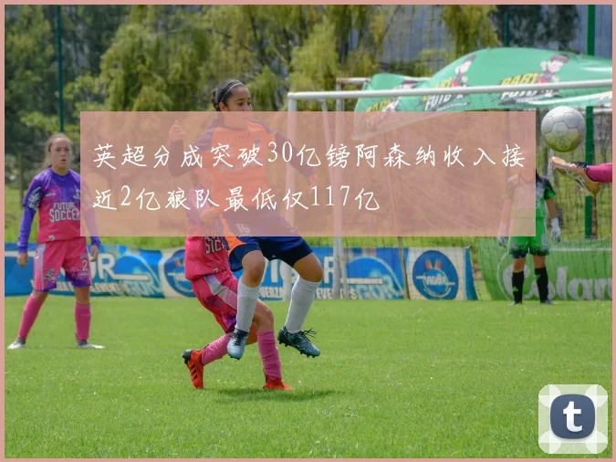 英超分成突破30亿镑阿森纳收入接近2亿狼队最低仅117亿