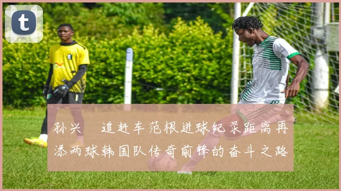 孙兴慜追赶车范根进球纪录距离再添两球韩国队传奇前锋的奋斗之路